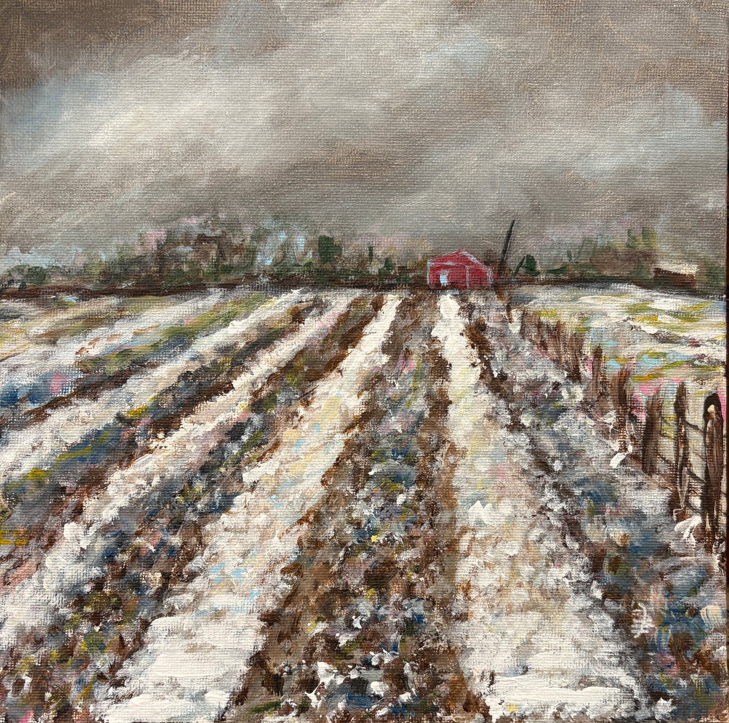 Where The Snow Planted Secrets