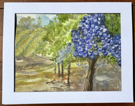 Grape-y Vineyard