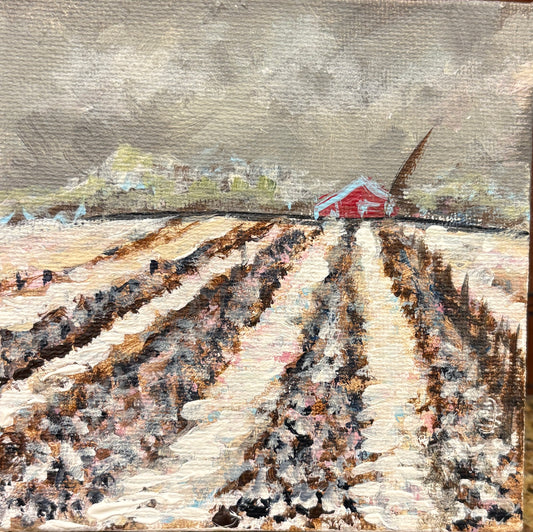Furrows Of Frost